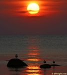 IMG_0107_-_Version_2.jpg