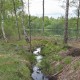Vatten med högt färgtal förorenar en fin badsjö och gör den brunare.